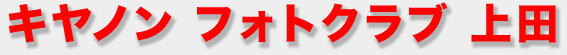 �摜